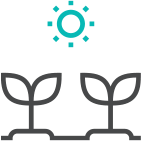 cultivation icon with sprouts and sun