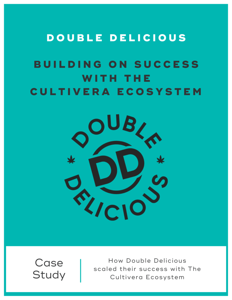 teal, grey, and white ebook cover for Double Delicious Success In the Marketplace Case Study
