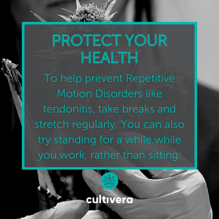 graphic with photo background of someone trimming buds, with teal text in a box about "Protect Your Health"