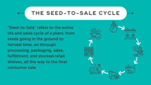 teal rectangle with seed to sale cycle imagery and definition text