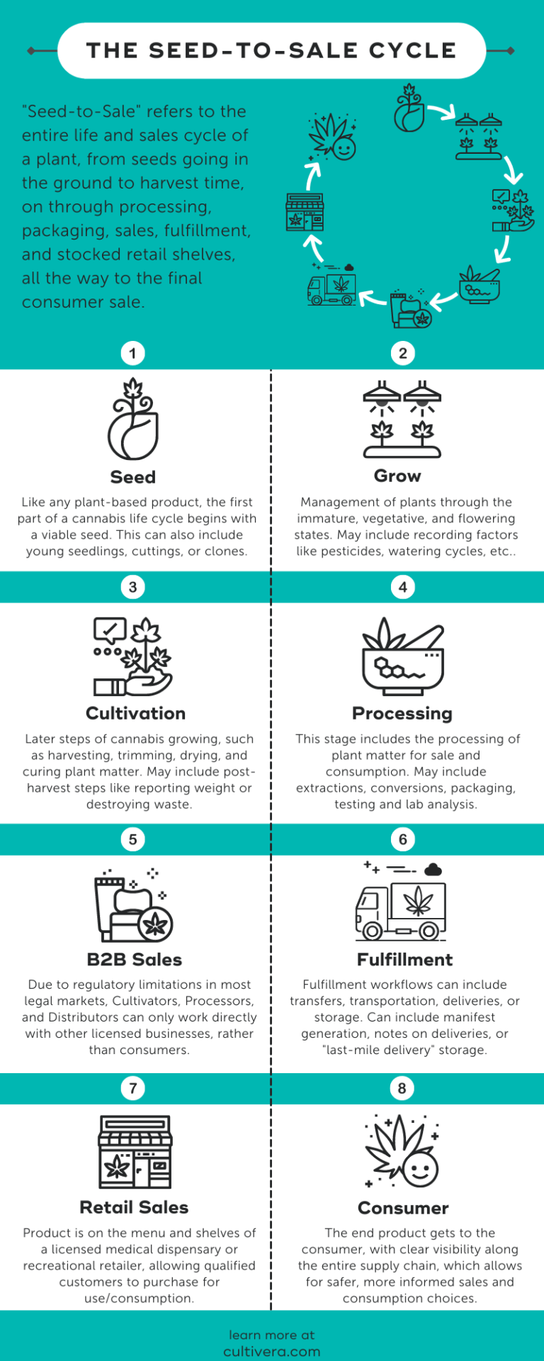 vertical teal and white infographic of the seed-to-sale cycle