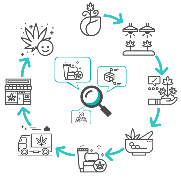 circular flow chart with dark grey, white, and teal icons representing traceability from seed to sale