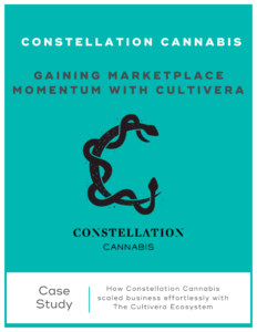 cover of constellation marketplace momentum case study