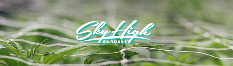 cultivera market spotlight Sky High Gardens banner with plants in background