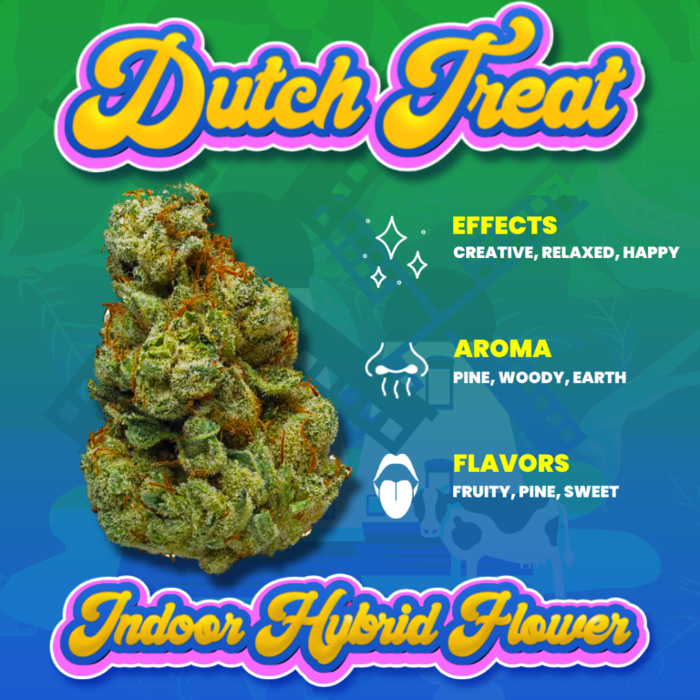Colorful Information graphic for "Dutch Treat" strain from LWLF Brands on Cultivera Market