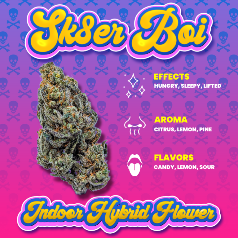 Colorful Information graphic for "Sk8ter Boi" strain from LWLF Brands on Cultivera Market