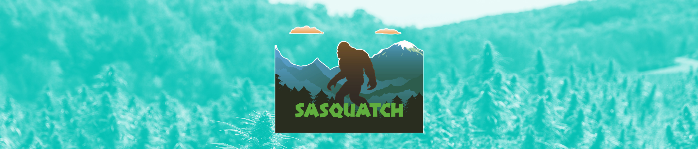 sasquatch spotlight banner