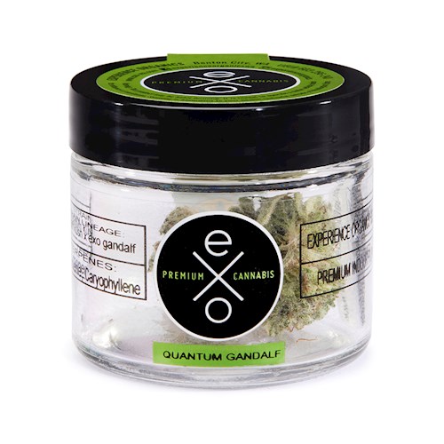 Quantum Gandalf Jarred flower Product Photo from Experience Organics's Cultivera Market Menu