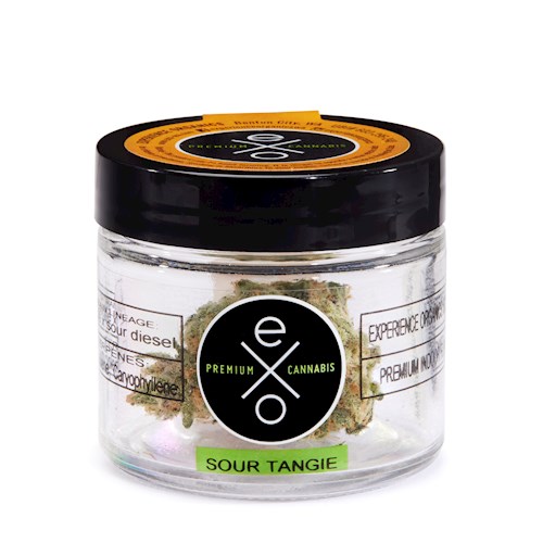 Sour Tangie Jarred flower Product Photo from Experience Organics's Cultivera Market Menu