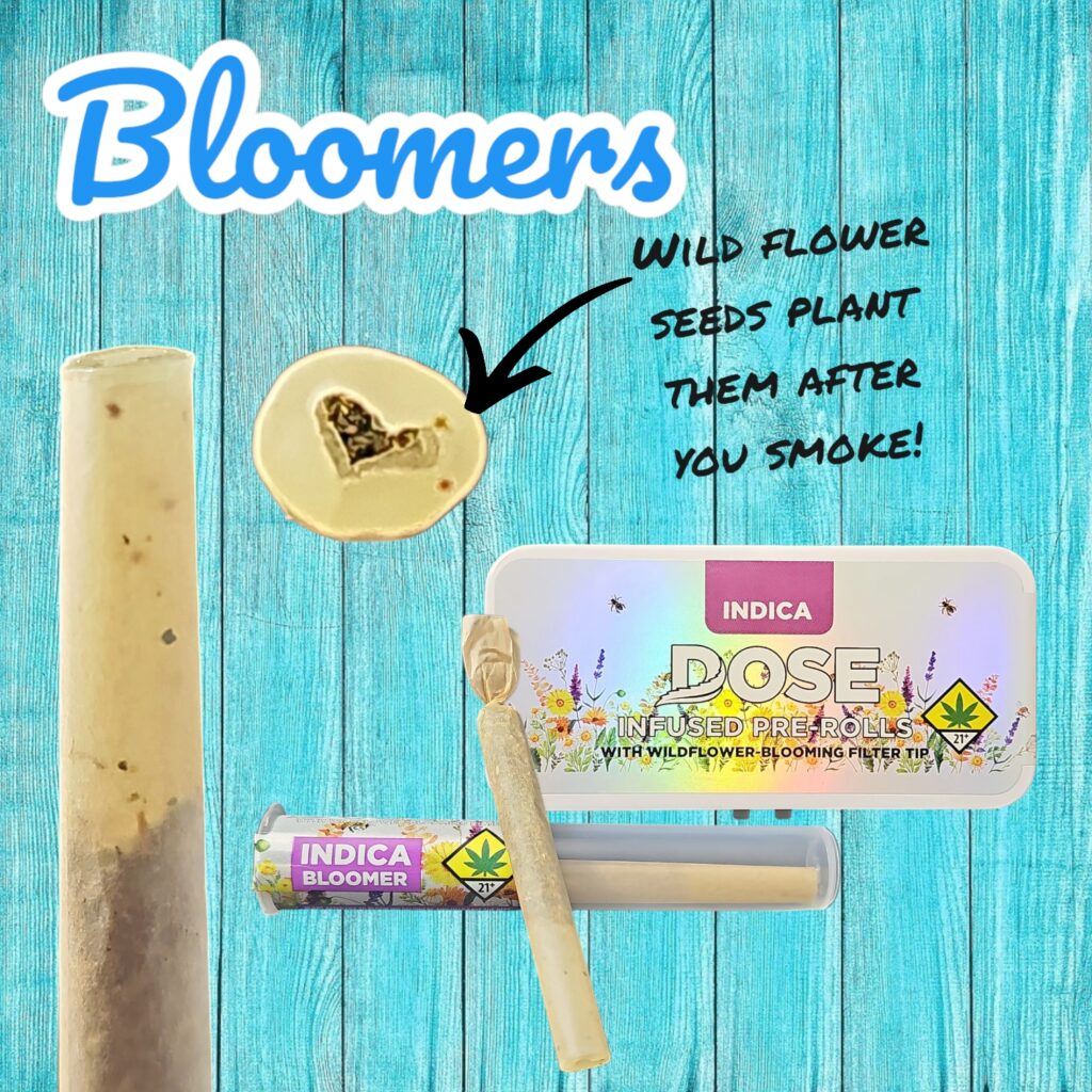 square graphic with photos and information about Dose Oil's Bloomers pre-rolls available on Cultivera Market